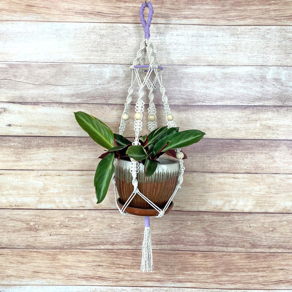 twist and loop design handmade macrame plant hanger with lavender and 4" ring