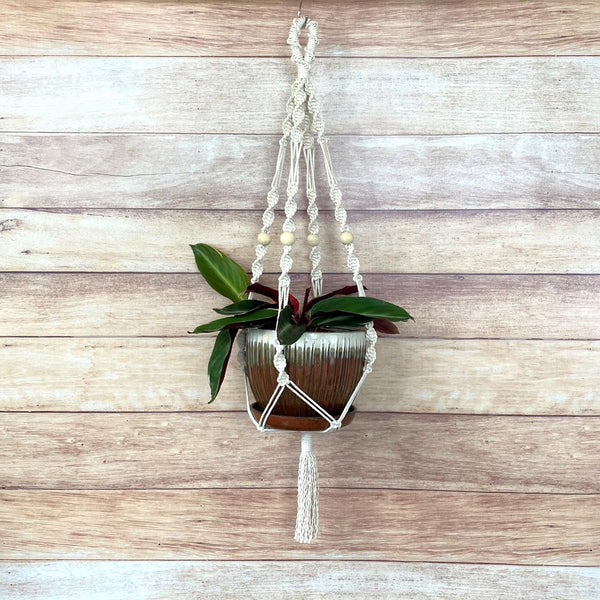 handmade macrame twist pattern cotton rope plant hanger