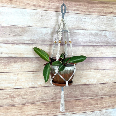 heather grey and natural handmade macrame plant hanger with 4" ring