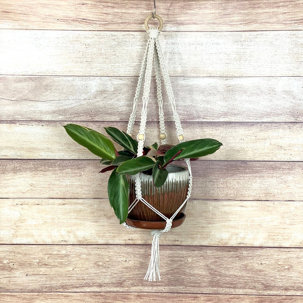 handmade macrame square knot plant hanger