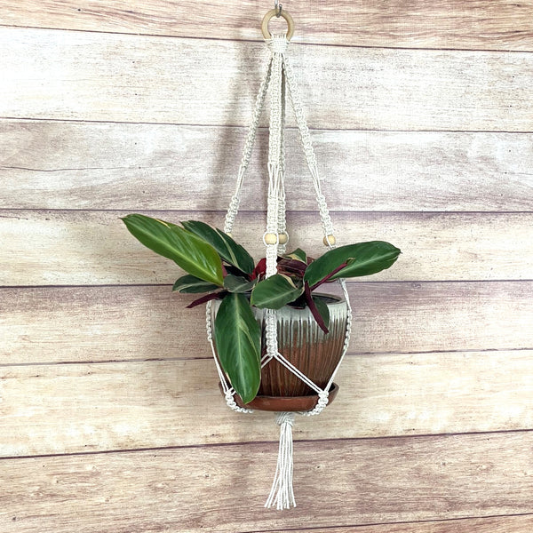 handmade macrame square knot plant hanger