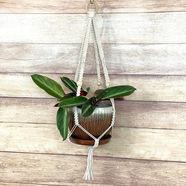 handmade macrame square knot plant hanger