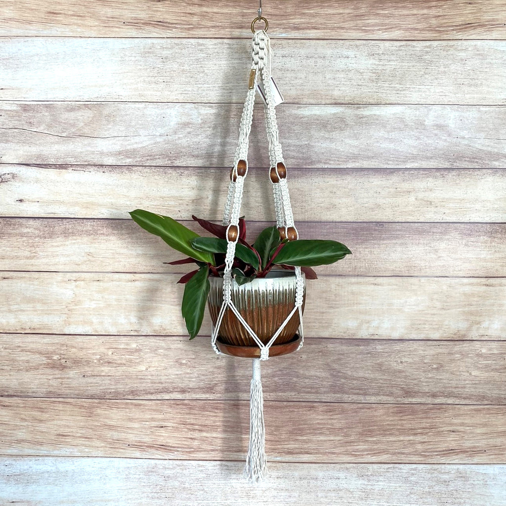 crown knot macrame plant hanger Crown Knot Plant Hanger "Victoria" – Knottin Fancy