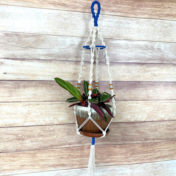 Cobalt Ring Plant Hanger