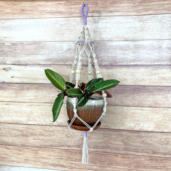 twist and loop design handmade macrame plant hanger with lavender and 4" ring