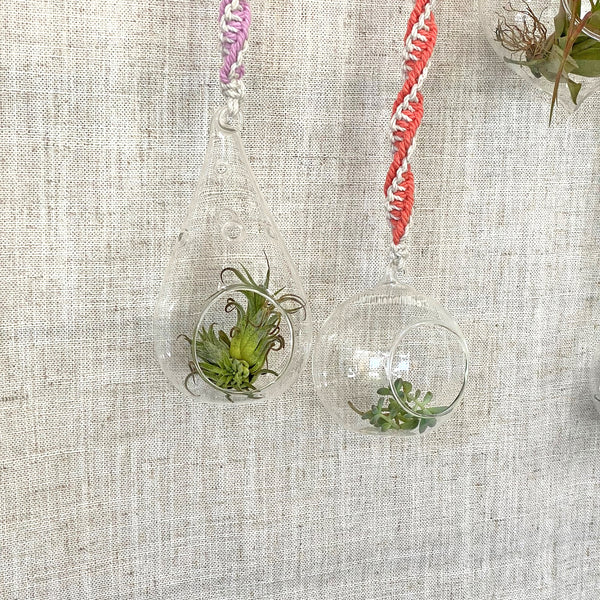 hanging terrarium globes double twist macrame rope