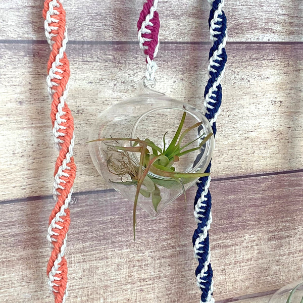 hanging terrarium globes double twist macrame rope